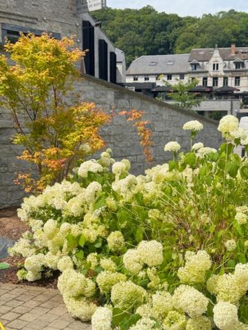 Hotel Wellness Eau De Roche Durbuy Bagian luar foto
